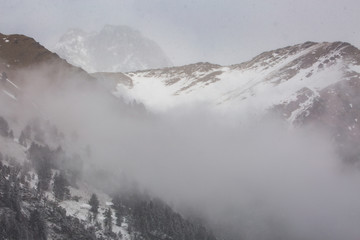 winter mountain landscape with pine and birch forest.
