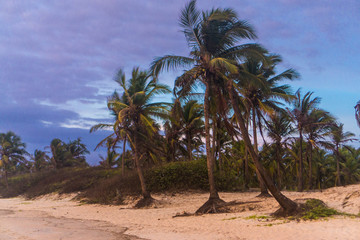Fototapeta premium South Goa, India
