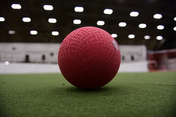 Dodgeball Tournament at St. Charles Parks