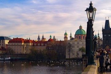 Fototapeta na wymiar swans on river. Cloudy sky on Vltava Bridges in Prague Europe. Capital city of Czech Republic