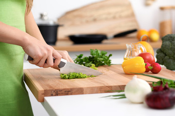 Close up of  woman's hands cooking in the kitchen. Housewife slicing ​​fresh salad. Vegetarian and healthily cooking concept