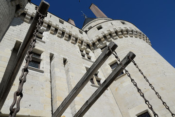 Schloss in Langeais, Frankreich