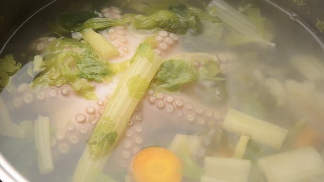 Octopus vulgaris Gewone seekat Obična hobotnica K&ouml;z&ouml;ns&eacute;ges polip Pulpo أخطبوط شائع Ośmiornica zwyczajna Polpo Pieuvre Осьминог обыкновенный Poulpe Gew&ouml;hnlicher Krake 普通章魚 Polpi תמנון החוף