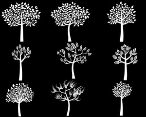 White tree silhouettes with leaves on black background - vector illustration