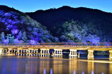 Fototapeta premium 京都 嵐山花灯路