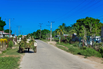 Fahrender Straßenhändler mit frischen Bananen und Obst im Landesinneren von Santa Clara Kuba - Serie Kuba 2016 Reportage