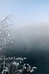 frost on branches of trees and grass on the background of a lake