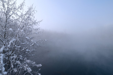 Fototapeta premium frost on branches of trees and grass on the background of a lake