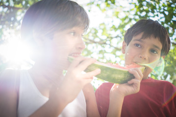 Boys with watermelon enjoying summer