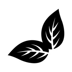 Leaves natural concept icon vector illustration graphic design