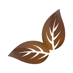 Leaves natural concept icon vector illustration graphic design