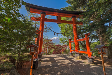 Fototapeta na wymiar Walkway to Chureito pagoda, Japan