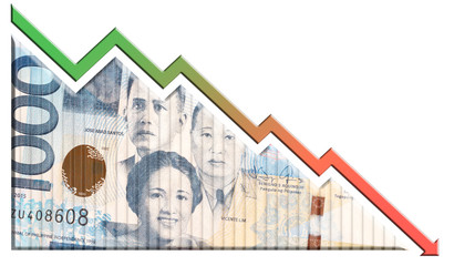 Economic Crisis Graph