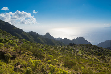 Nature near Masca Village, Tenerife
