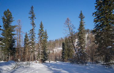 River Olha in winter