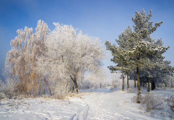 The shore of the Angara River in Irkutsk