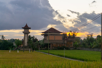 Fototapeta na wymiar Ubud (Bali), Indonesia