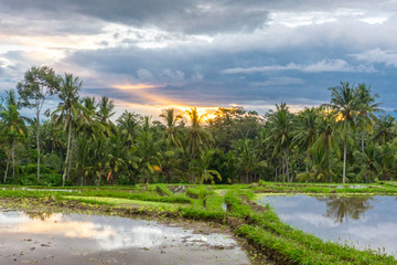 Ubud (Bali), Indonesia