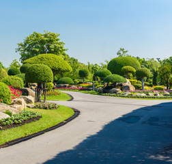 Gardening and Landscaping