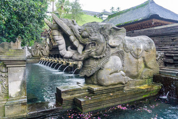 Ubud (Bali), Indonesia © Scottiebumich