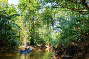 Obraz premium Little Amazon of TakuaPa in PhangNga, South Thailand.