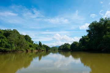 Fototapeta na wymiar Mangrove forest reflection on green water, PhangNga, South Thailamd.