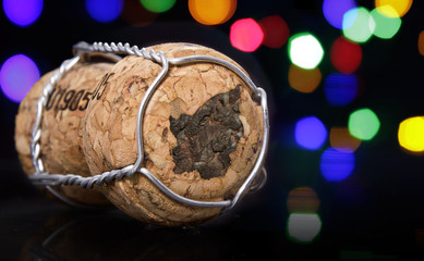 Cork with the shape of San Marino burnt in.(series)