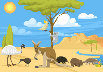 Australia wild life vector illustration. © partyvector