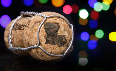 Cork with the shape of Louisiana burnt in.(series)