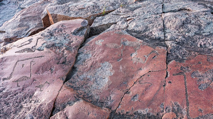 Ancient petroglyphs (rock engravings of 4th-2nd millennia BC) that depict duck and swan carved on granite Onega Lake shore. Besov Nos cape, Karelia Republic, Russia.
