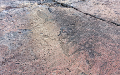 Ancient petroglyphs (rock engravings of 4th-2nd millennia BC) that depict duck and swan cross covered carved on granite Onega Lake shore. Besov Nos cape, Karelia Republic, Russia.
