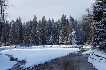 Snowy forest and river in the High Tatras mountains.