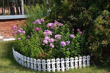 Красочный цветник