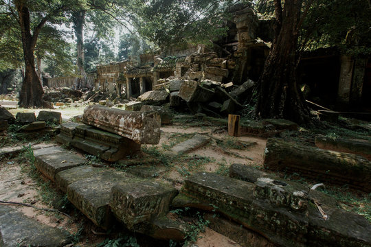 Trees in ruin Ta Prohm, part of Khmer temple complex, Asia, Camb
