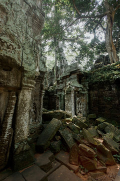 The stones and trees growing out ruin of Ta Prohm, Angkor Wat