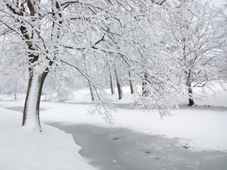 Park in winter.