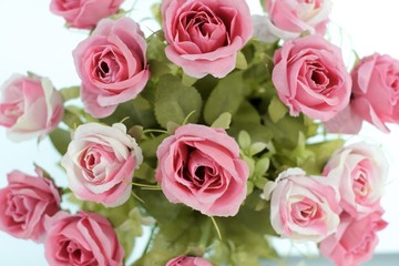 Soft focus with blur bokeh pink rose used for the background.