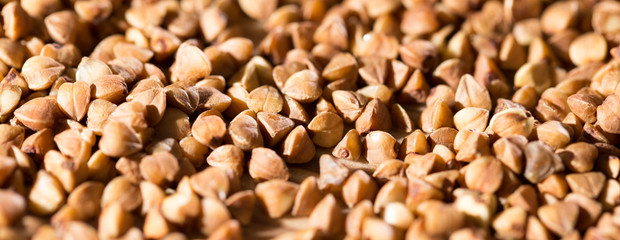 buckwheat as background