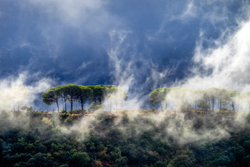Andalusien - Ronda im Nebel
