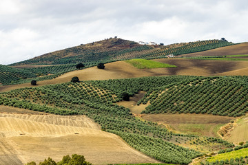 Andalusien - Landschaft um Olvera