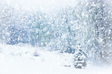 Obraz premium Beautiful winter landscape during snow storm