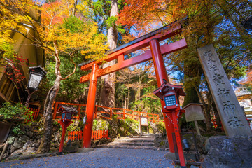 京都　貴船神社の紅葉 - obrazy, fototapety, plakaty