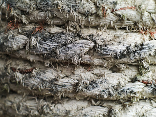 closeup shot of old ship rope texture