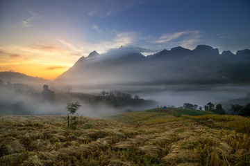 Obraz premium Mountain and mist in morning