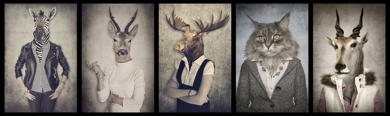 Fototapeta Animals in clothes. Concept graphic in vintage style. Zebra, dee obraz