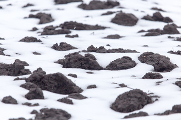 black soil in the snow on the nature