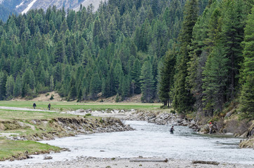 fluss in der landschaft