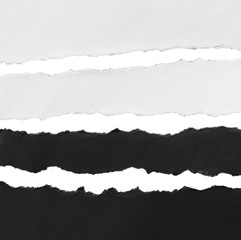 Fototapeta premium Torn paper