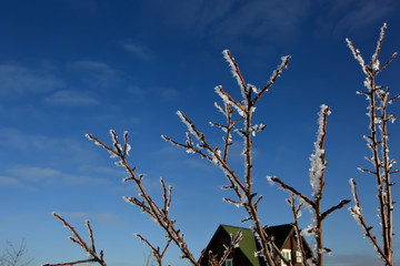 Obraz premium Зима в Астраханской Области Астрахань Россия