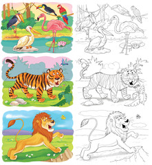 Set of cute African animals. Coloring page. Illustration for children 